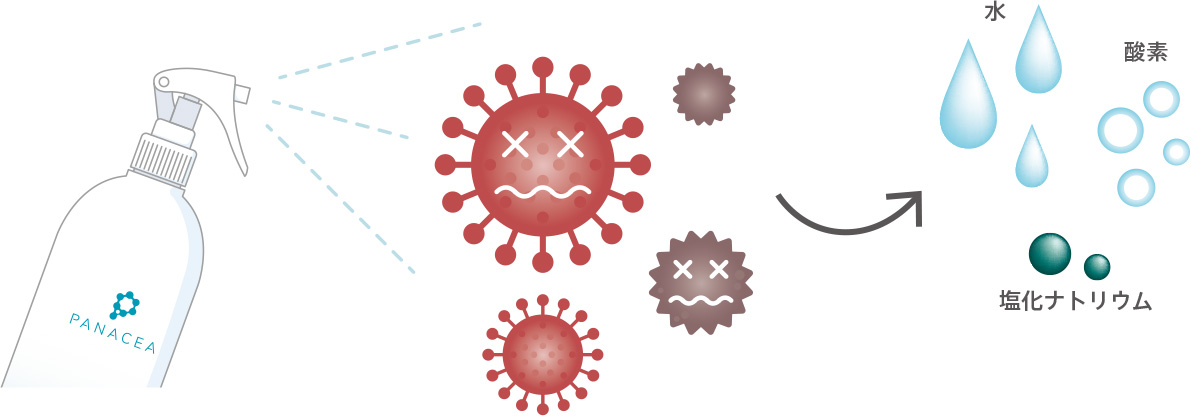 パナセアの除菌プロセス